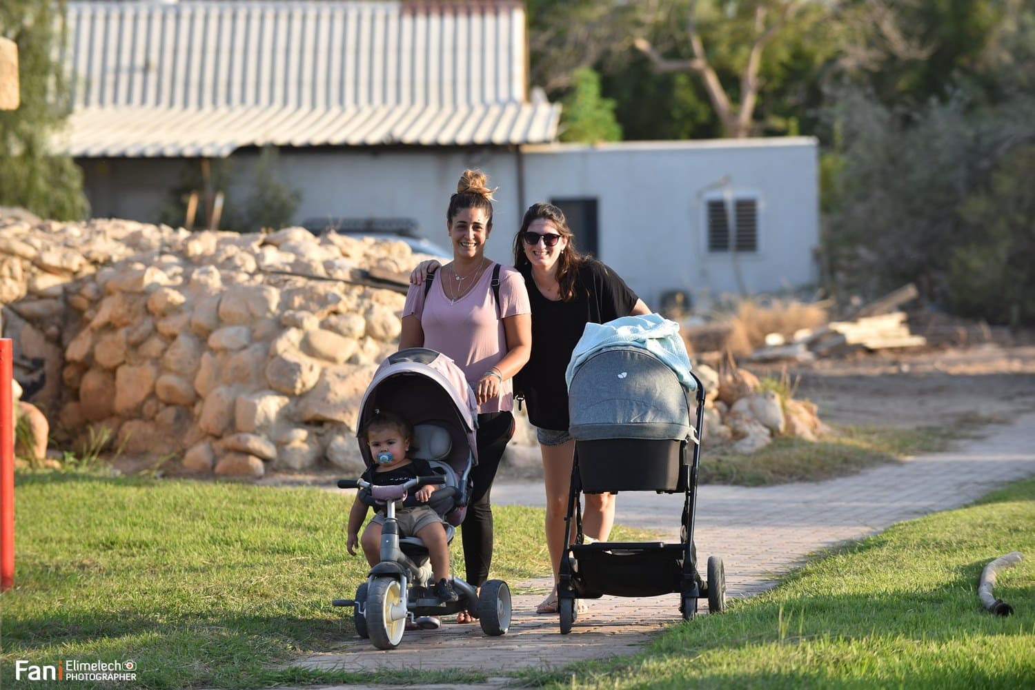 החיים עצמם