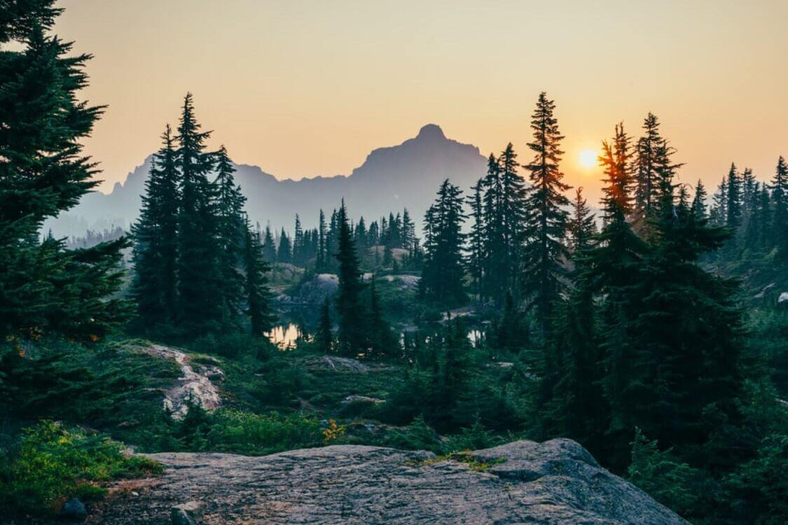 nature-the-key-to-better-physical-and-mental-health.jpeg